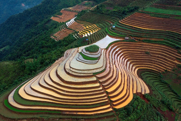 7D6N Magical Mu Cang Chai & Stunning Sapa Tour - photo 10